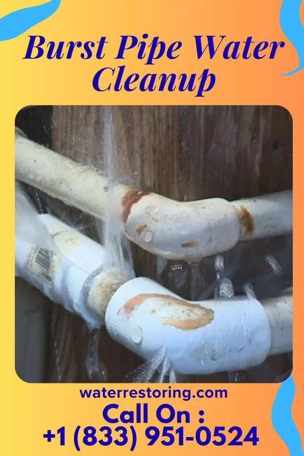 Burst Pipe Water Cleanup in Apalachicola, FL