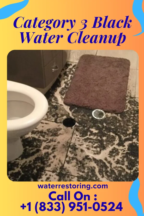 Category 3 Black Water Cleanup in Apalachicola, FL