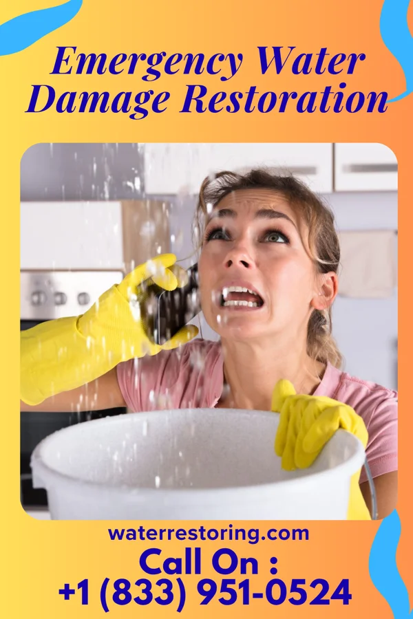 Emergency Water Damage Restoration in Apalachicola, FL